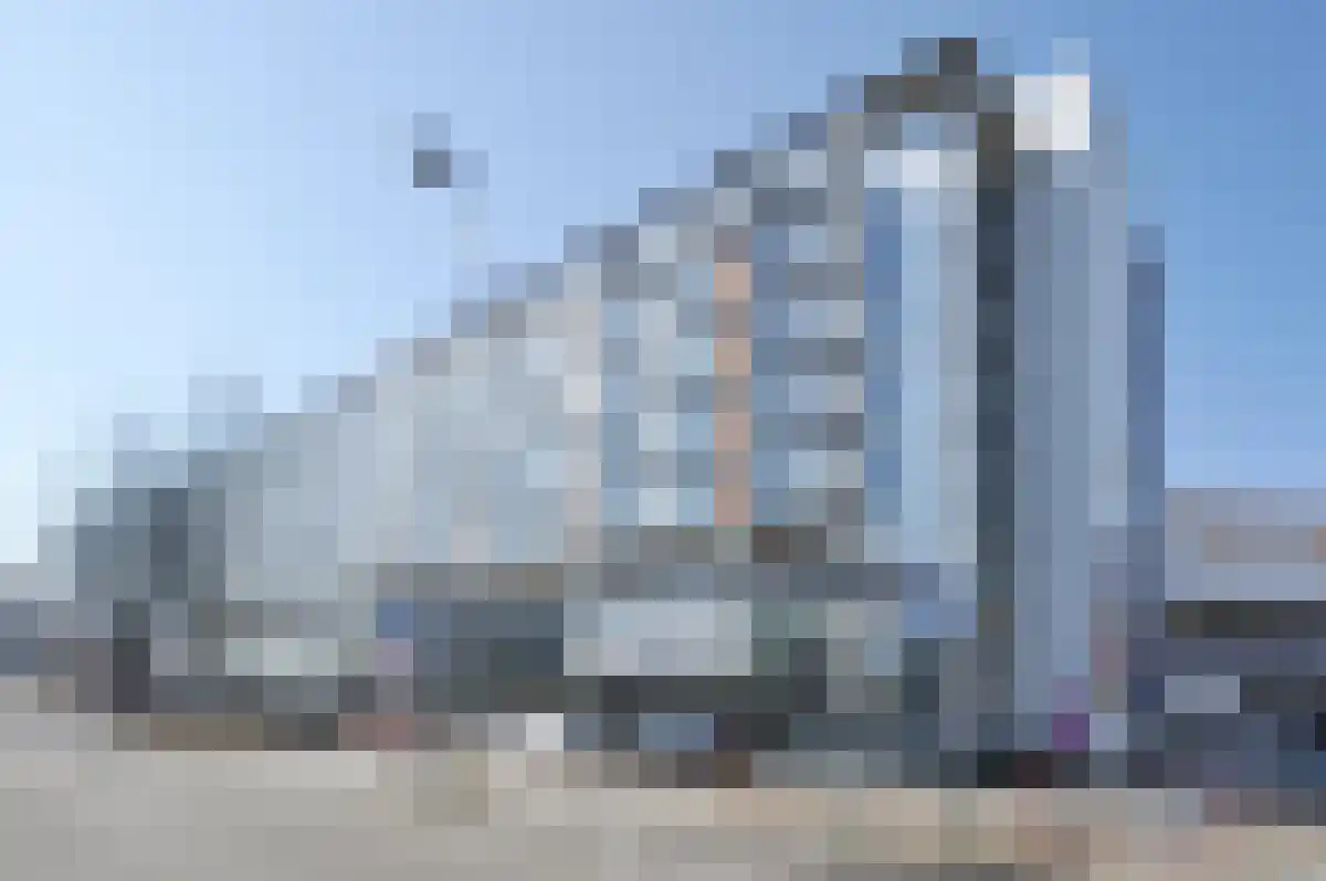 Grote Beer 27 in Rotterdam