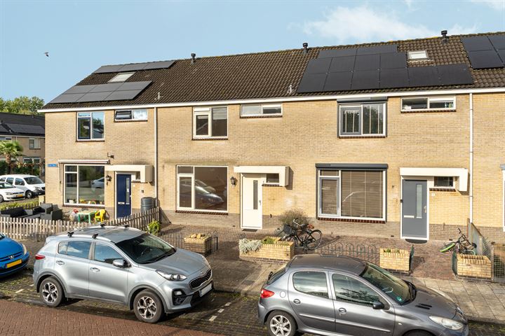 Grote Beer 3 in Emmeloord Foto