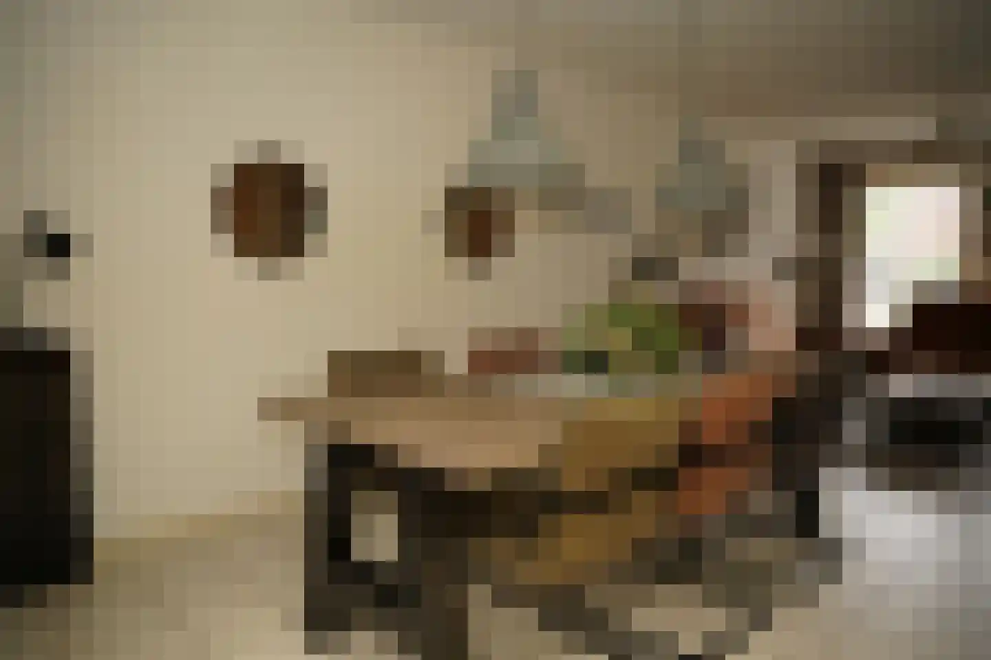 Grote Beer 34 D Oostburg thumbnail 10