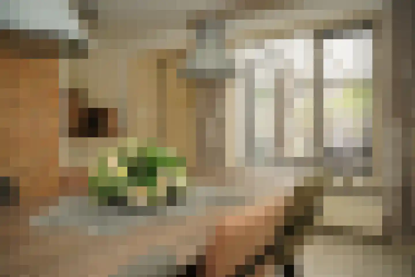 Grote Beer 34 D Oostburg thumbnail 11