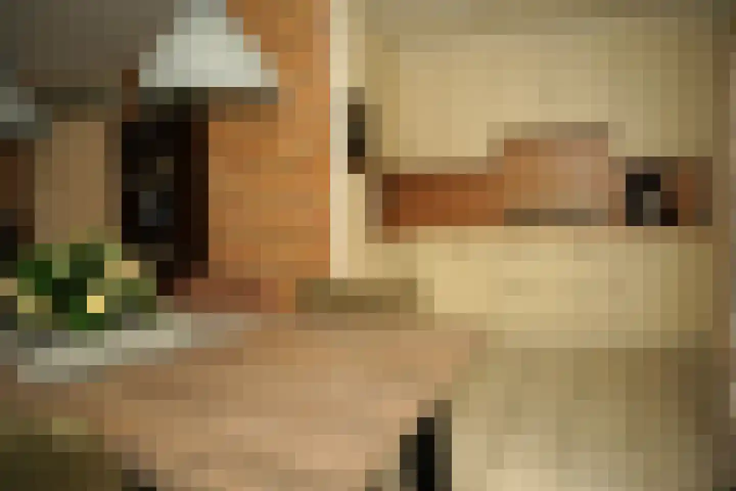 Grote Beer 34 D Oostburg thumbnail 11
