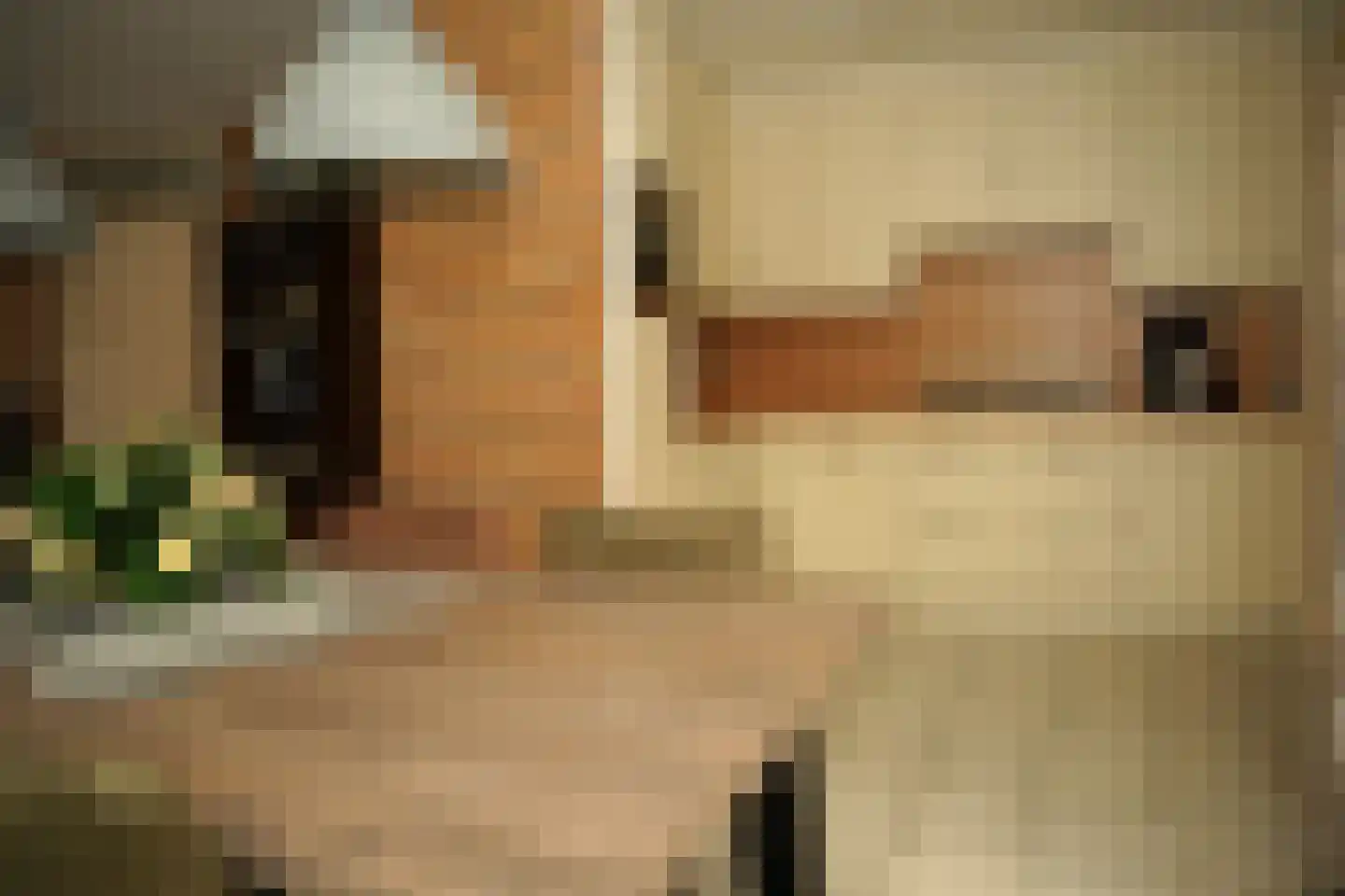Grote Beer 34 D Oostburg thumbnail 12