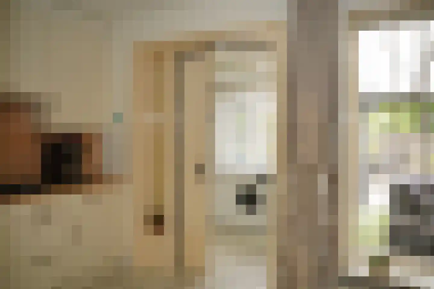 Grote Beer 34 D Oostburg thumbnail 14