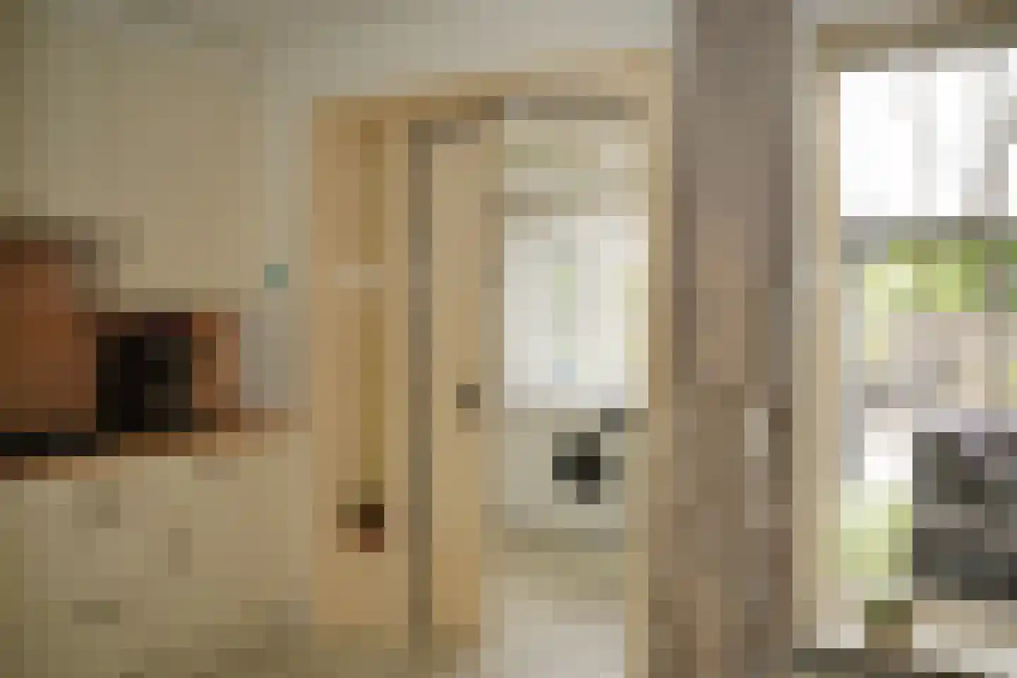 Grote Beer 34 D Oostburg thumbnail 15