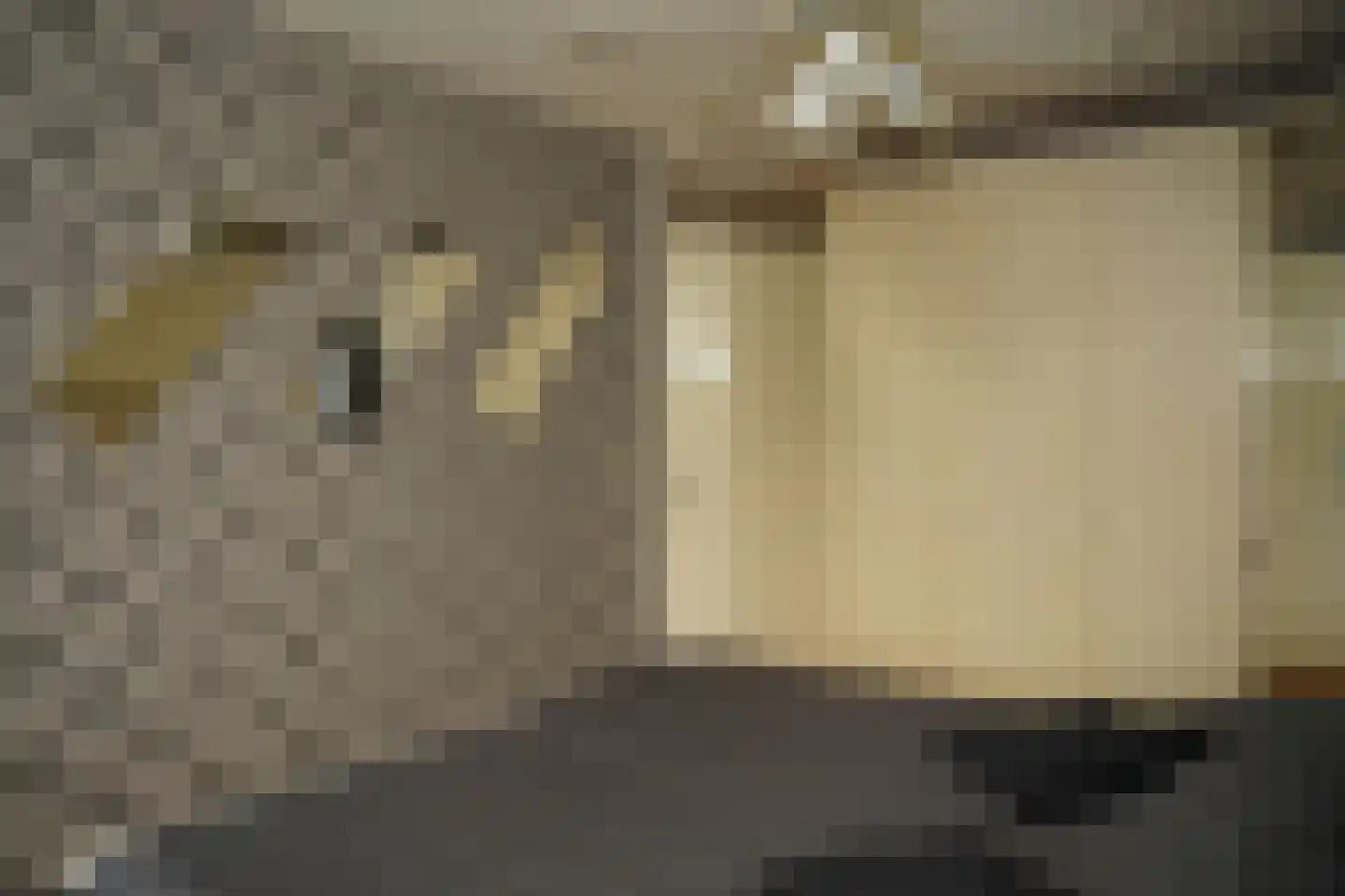 Grote Beer 34 D Oostburg thumbnail 20