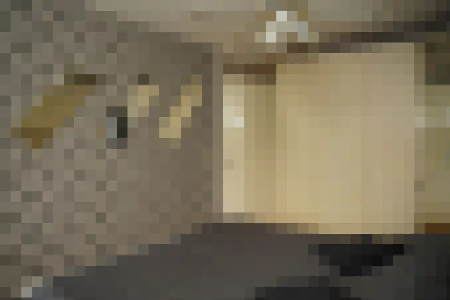 Grote Beer 34 D Oostburg thumbnail 21