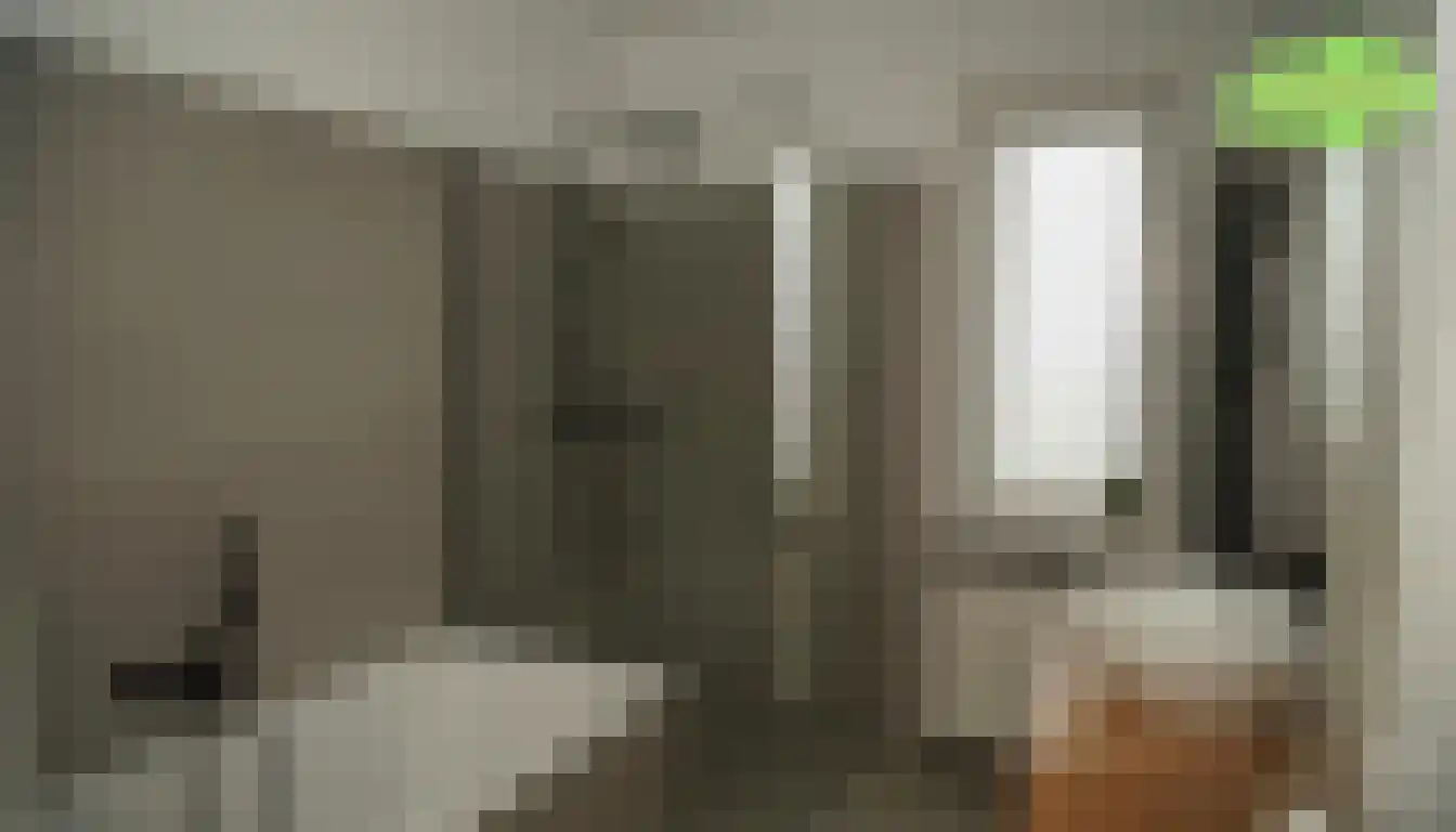 Grote Beer 34 D Oostburg thumbnail 23