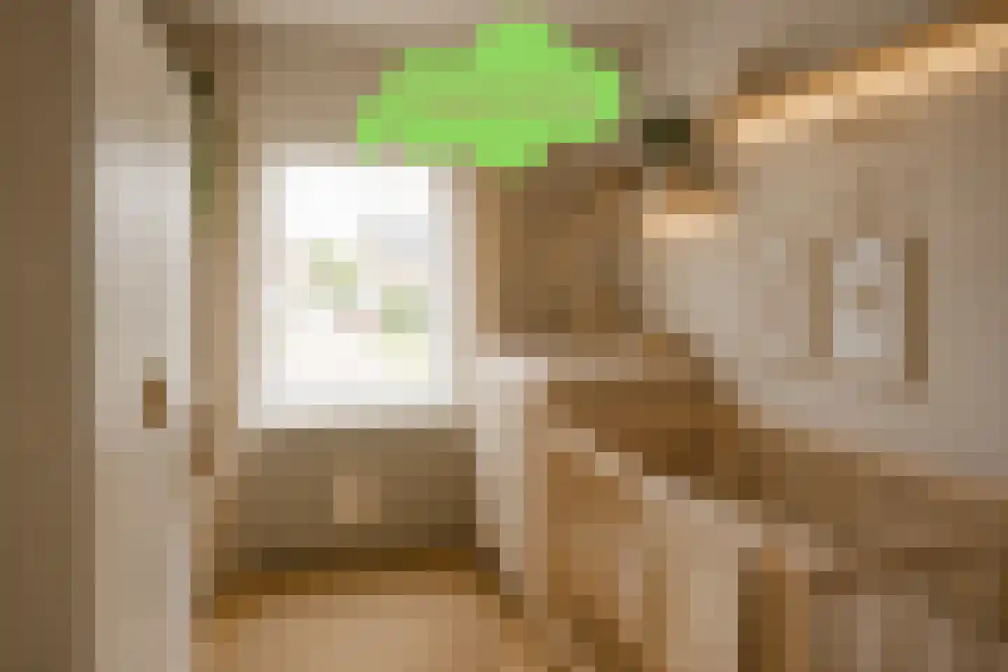 Grote Beer 34 D Oostburg thumbnail 24