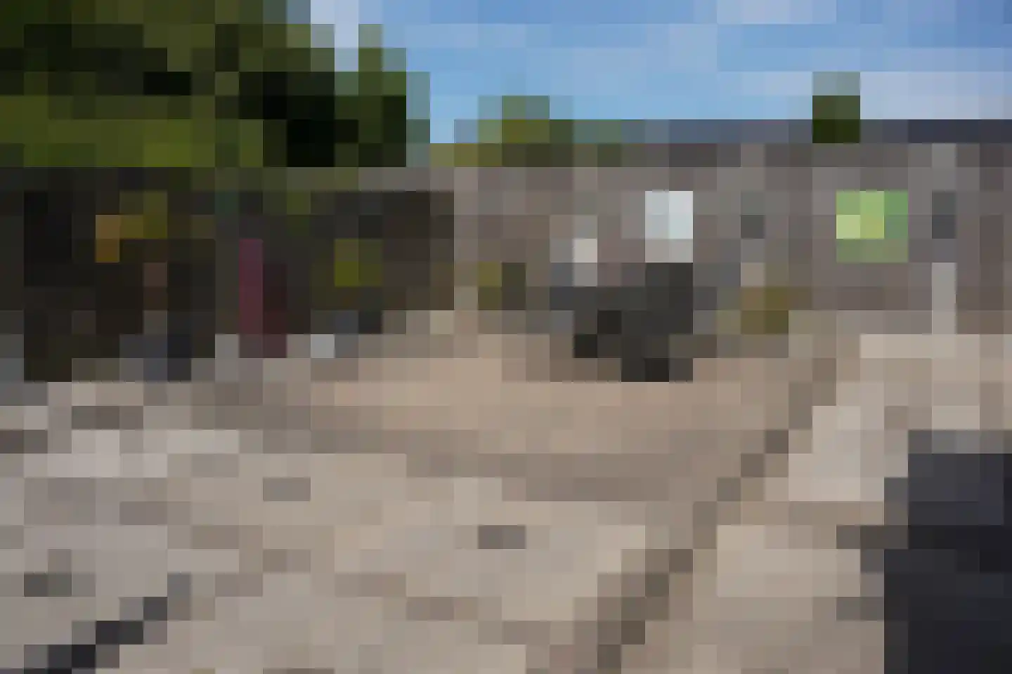 Grote Beer 34 D Oostburg thumbnail 33
