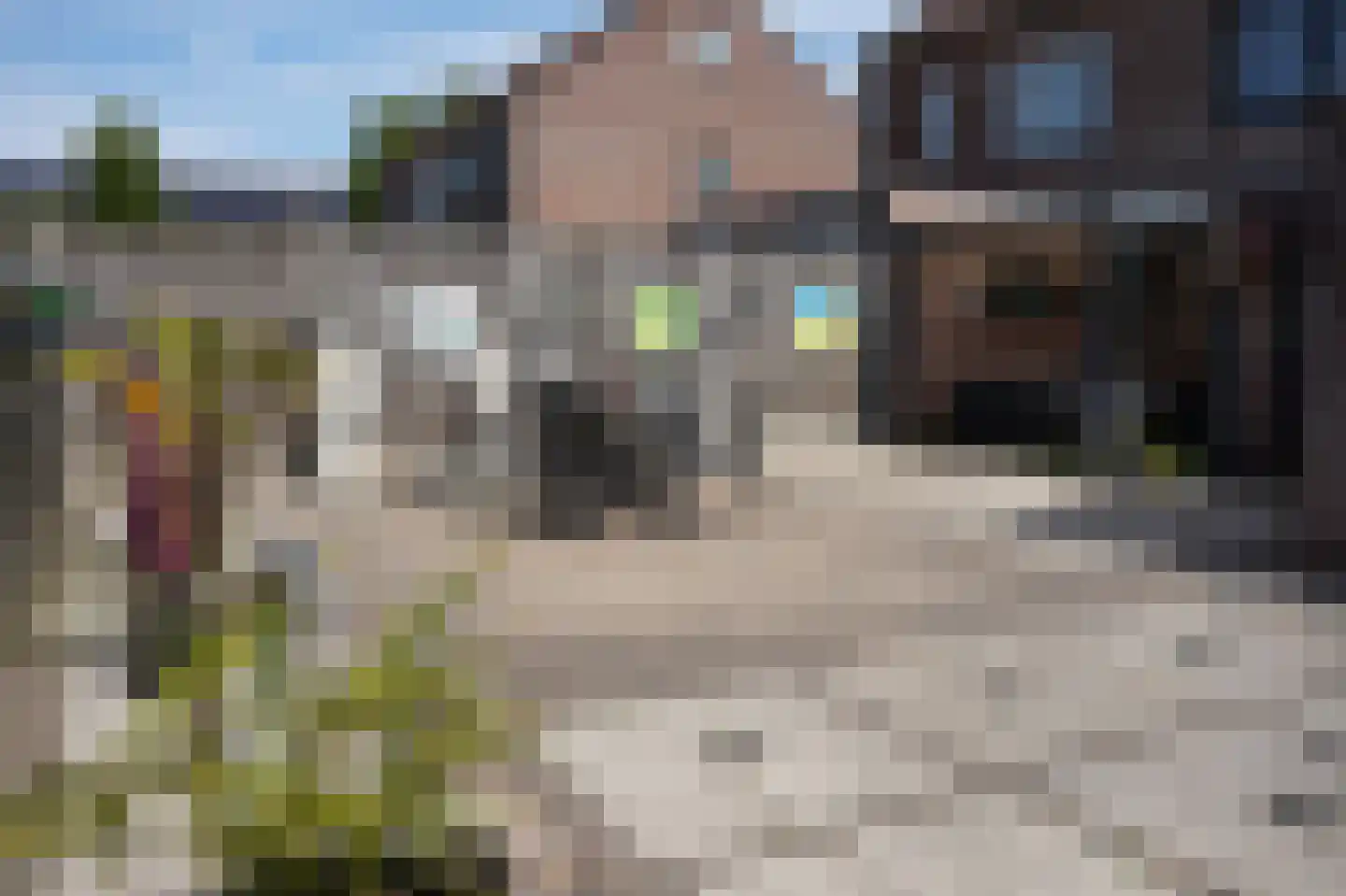 Grote Beer 34 D Oostburg thumbnail 34