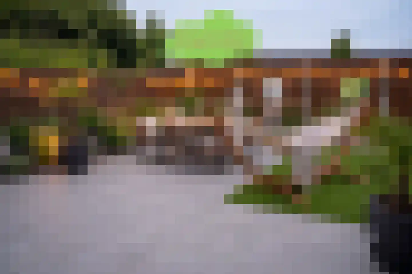 Grote Beer 34 D Oostburg thumbnail 37