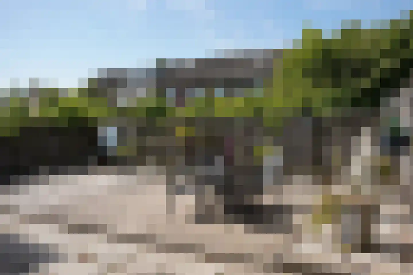 Grote Beer 34 D Oostburg thumbnail 41