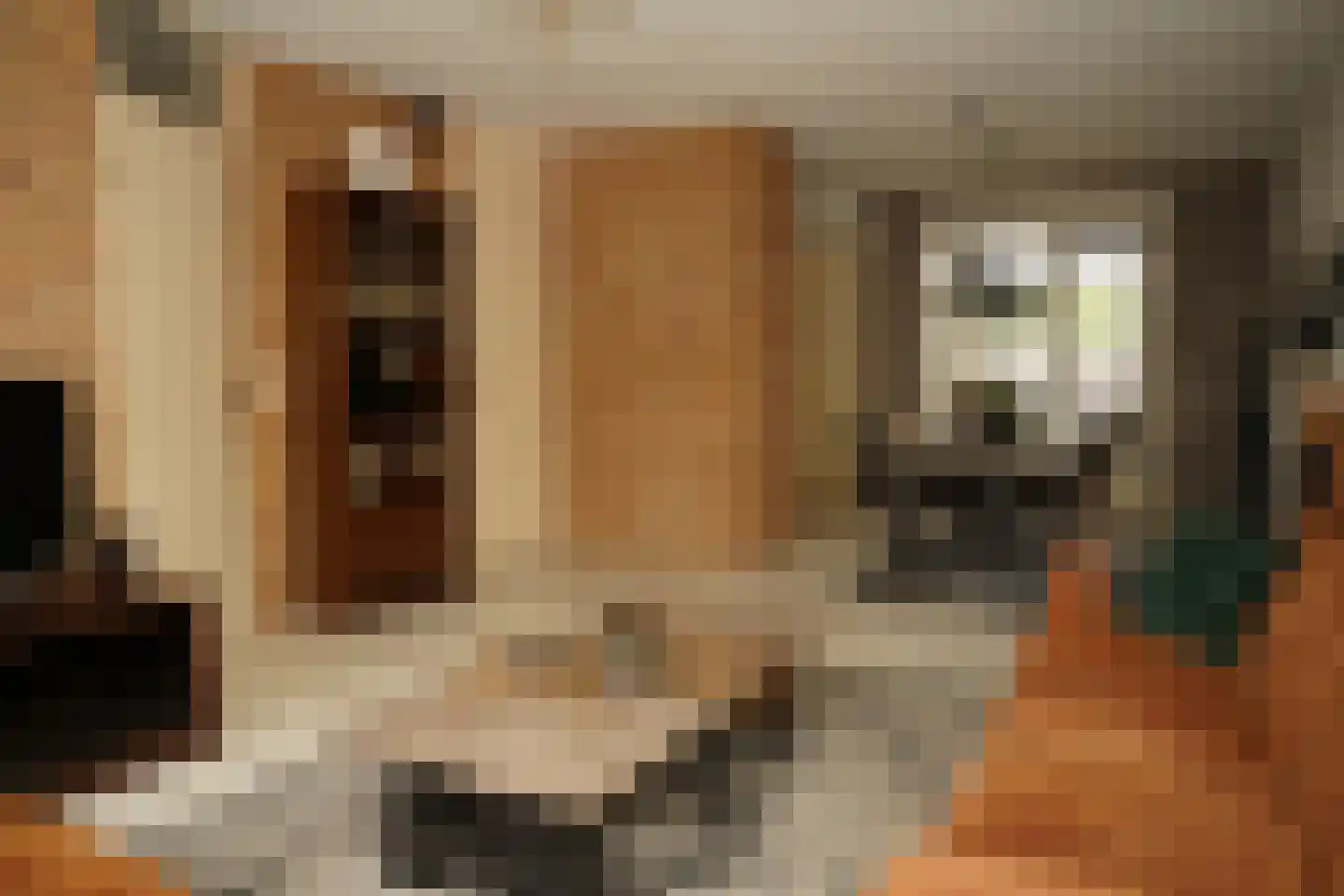 Grote Beer 34 D Oostburg thumbnail 6