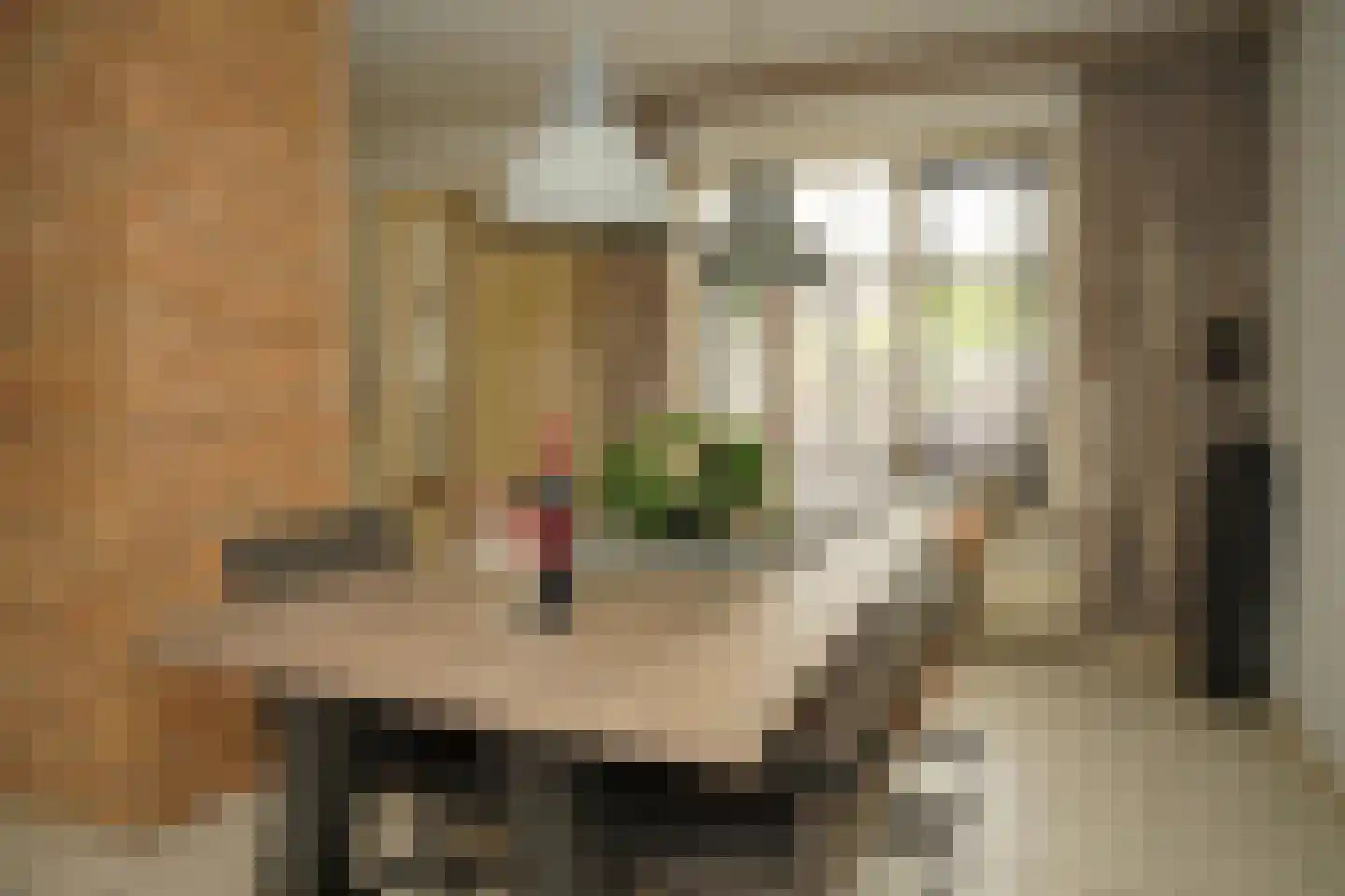 Grote Beer 34 D Oostburg thumbnail 7