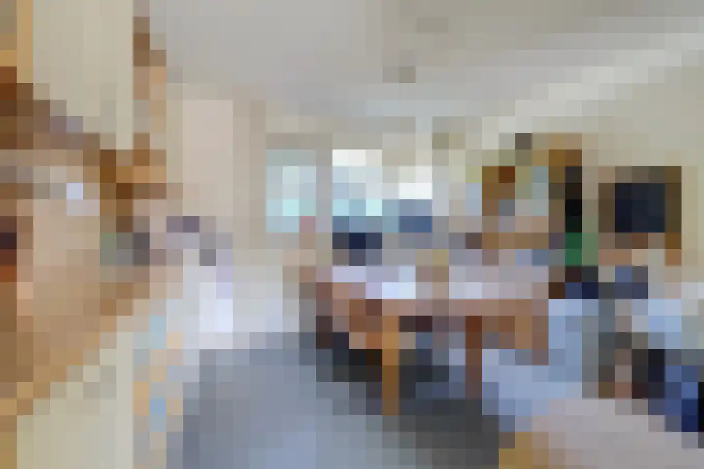 Grote Beer 37 Zeewolde thumbnail 10