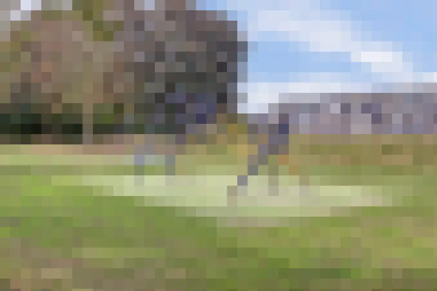 Grote Beer 37 Zeewolde thumbnail 33