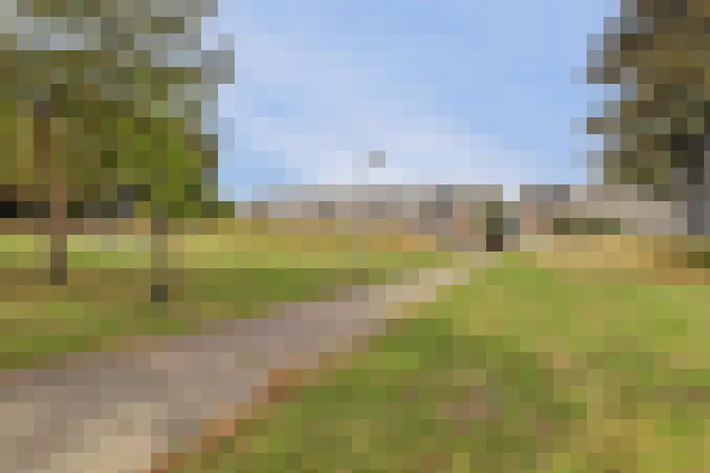 Grote Beer 37 Zeewolde thumbnail 35
