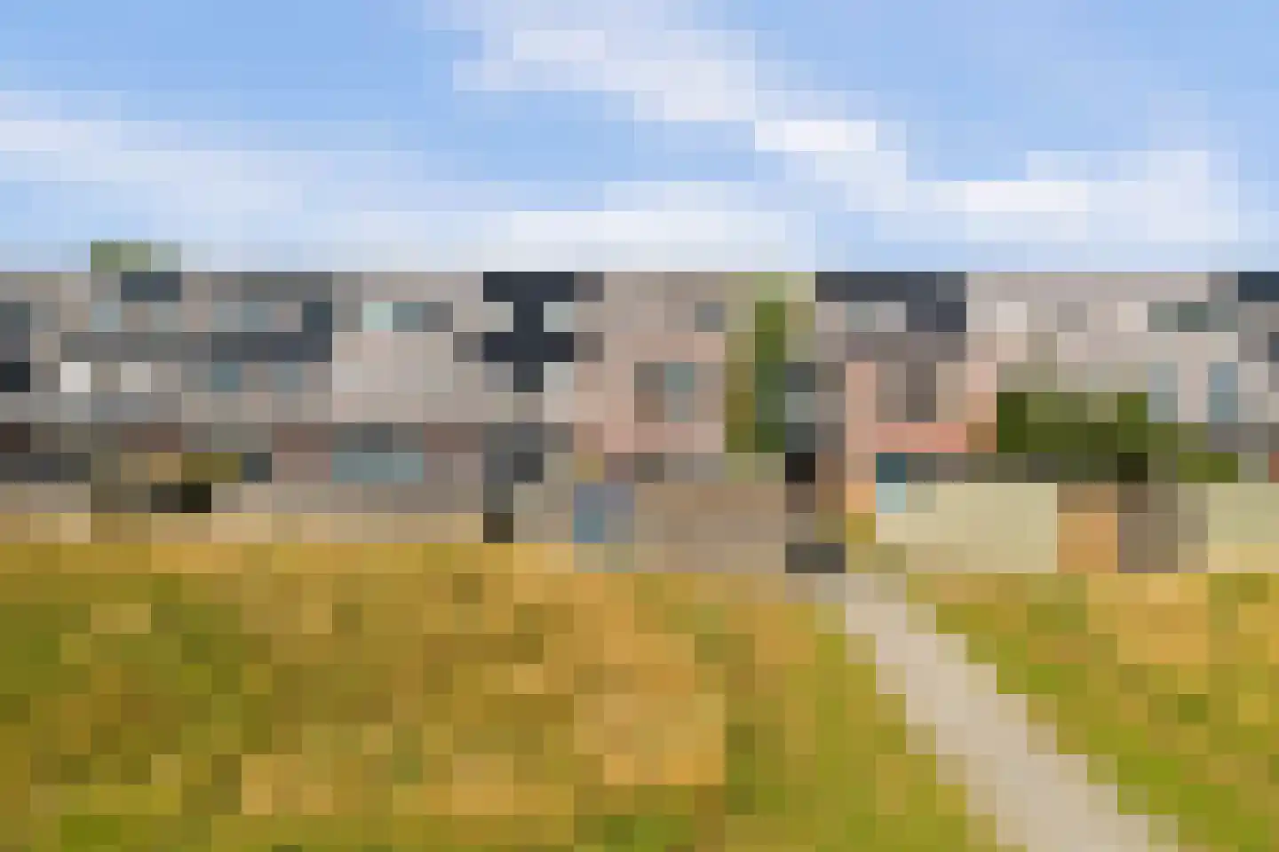 Grote Beer 37 Zeewolde thumbnail 36