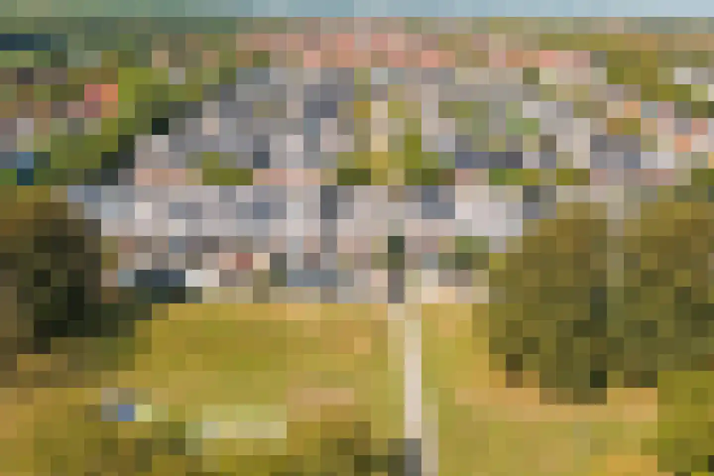 Grote Beer 37 Zeewolde thumbnail 37