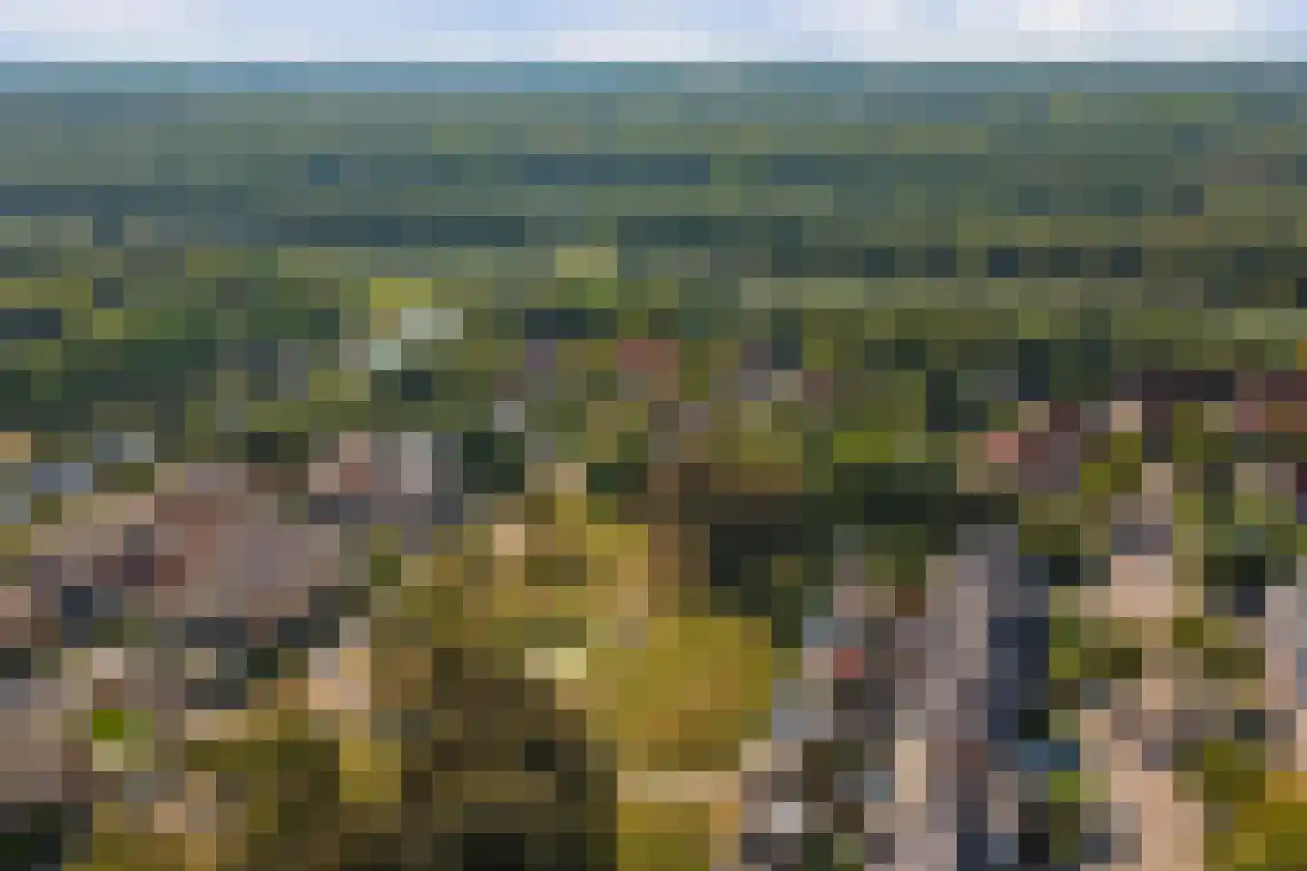 Grote Beer 37 Zeewolde thumbnail 4