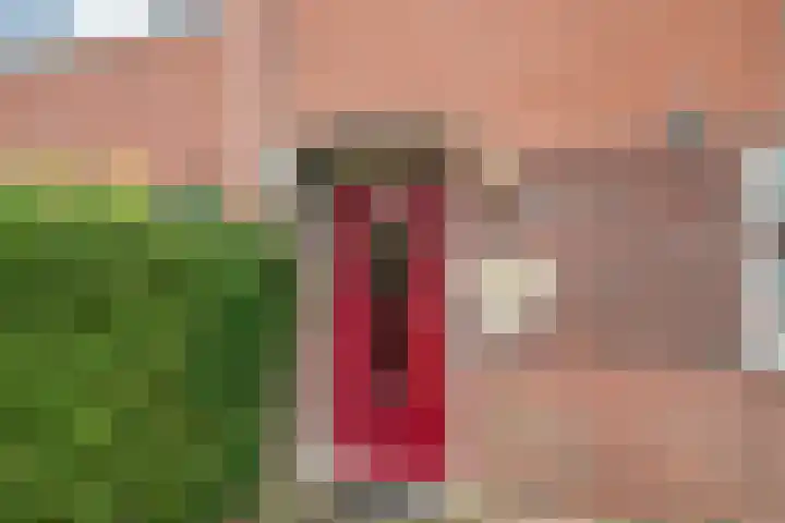 Grote Beer 43 Zeewolde thumbnail 4