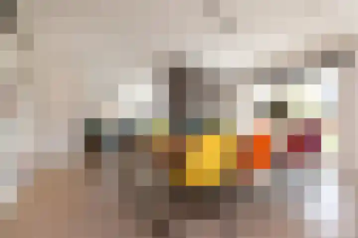 Grote Beer 5 Bleiswijk thumbnail 17