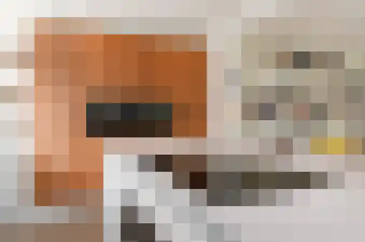Grote Beer 5 Bleiswijk thumbnail 24