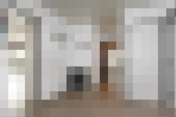 Grote Beer 5 Bleiswijk thumbnail 28