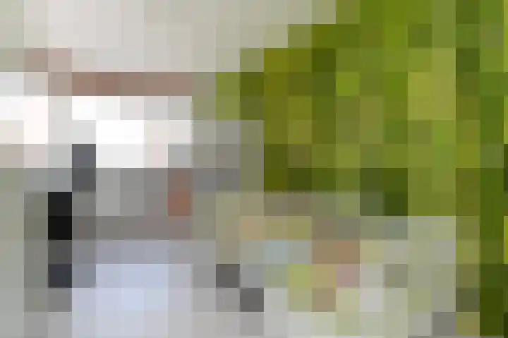 Grote Beer 5 Bleiswijk thumbnail 40