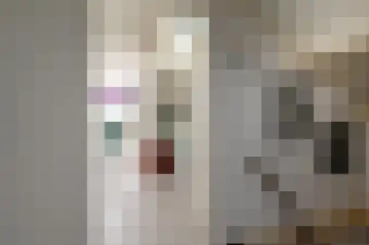 Grote Beer 5 Bleiswijk thumbnail 43