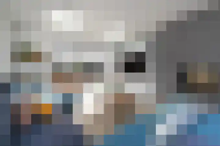 Grote Beer 5 Bleiswijk thumbnail 5