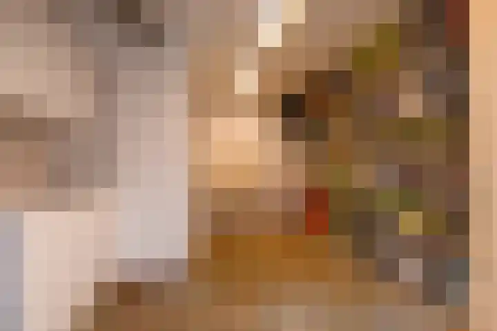 Grote Beer 5 Bleiswijk thumbnail 62