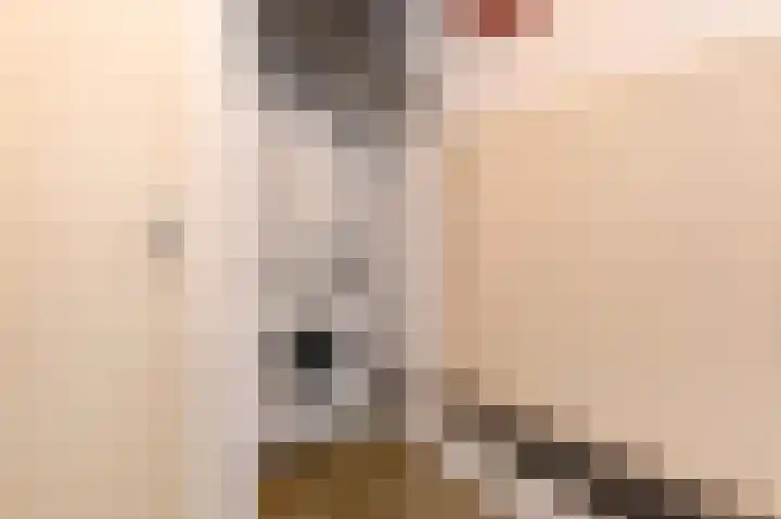 Grote Beer 5 Bleiswijk thumbnail 64