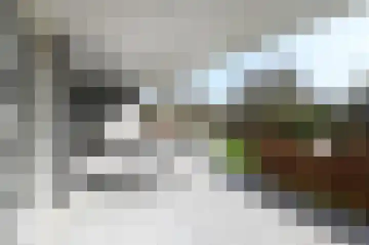 Grote Beer 5 Bleiswijk thumbnail 67