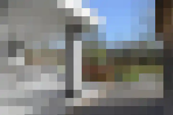 Grote Beer 5 Bleiswijk thumbnail 69