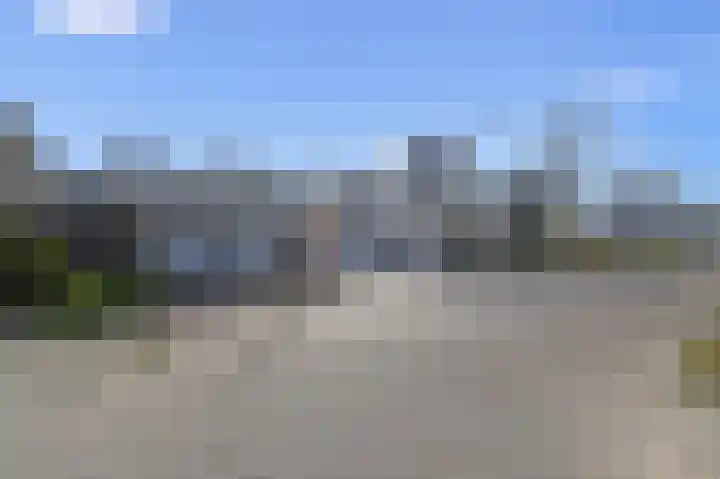 Grote Beer 5 Bleiswijk thumbnail 80