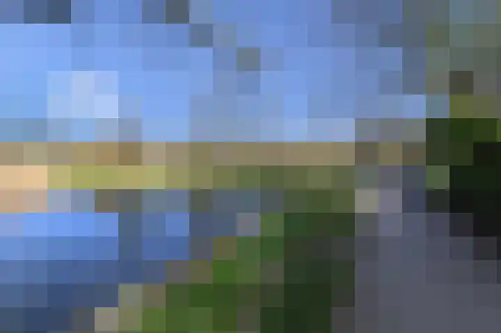 Grote Beer 5 Bleiswijk thumbnail 81