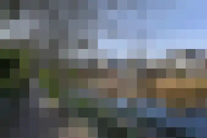Grote Beer 5 Bleiswijk thumbnail 83