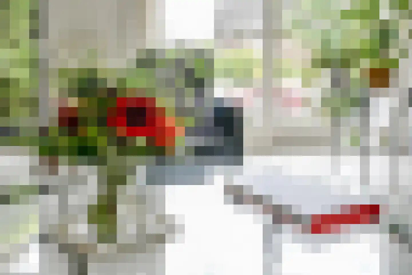 Grote Beer 6 Bleiswijk thumbnail 13