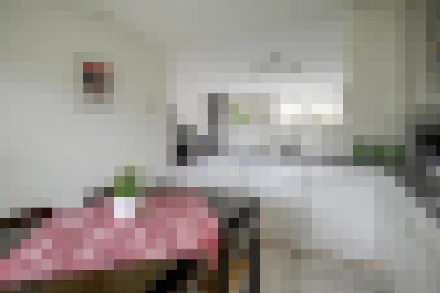 Grote Beer 6 Bleiswijk thumbnail 15