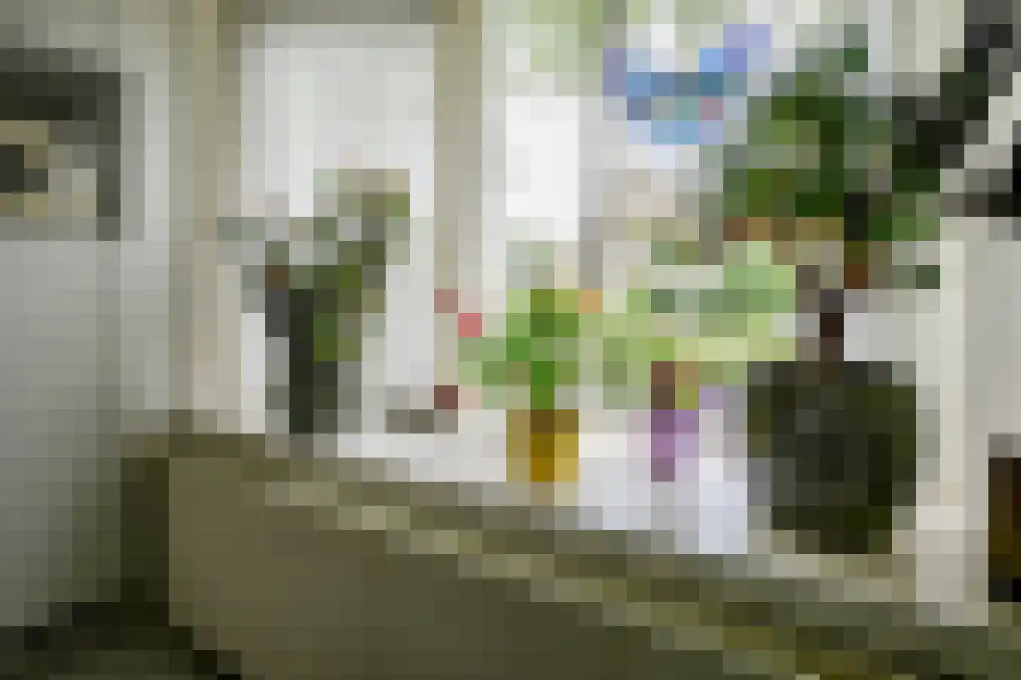 Grote Beer 6 Bleiswijk thumbnail 16