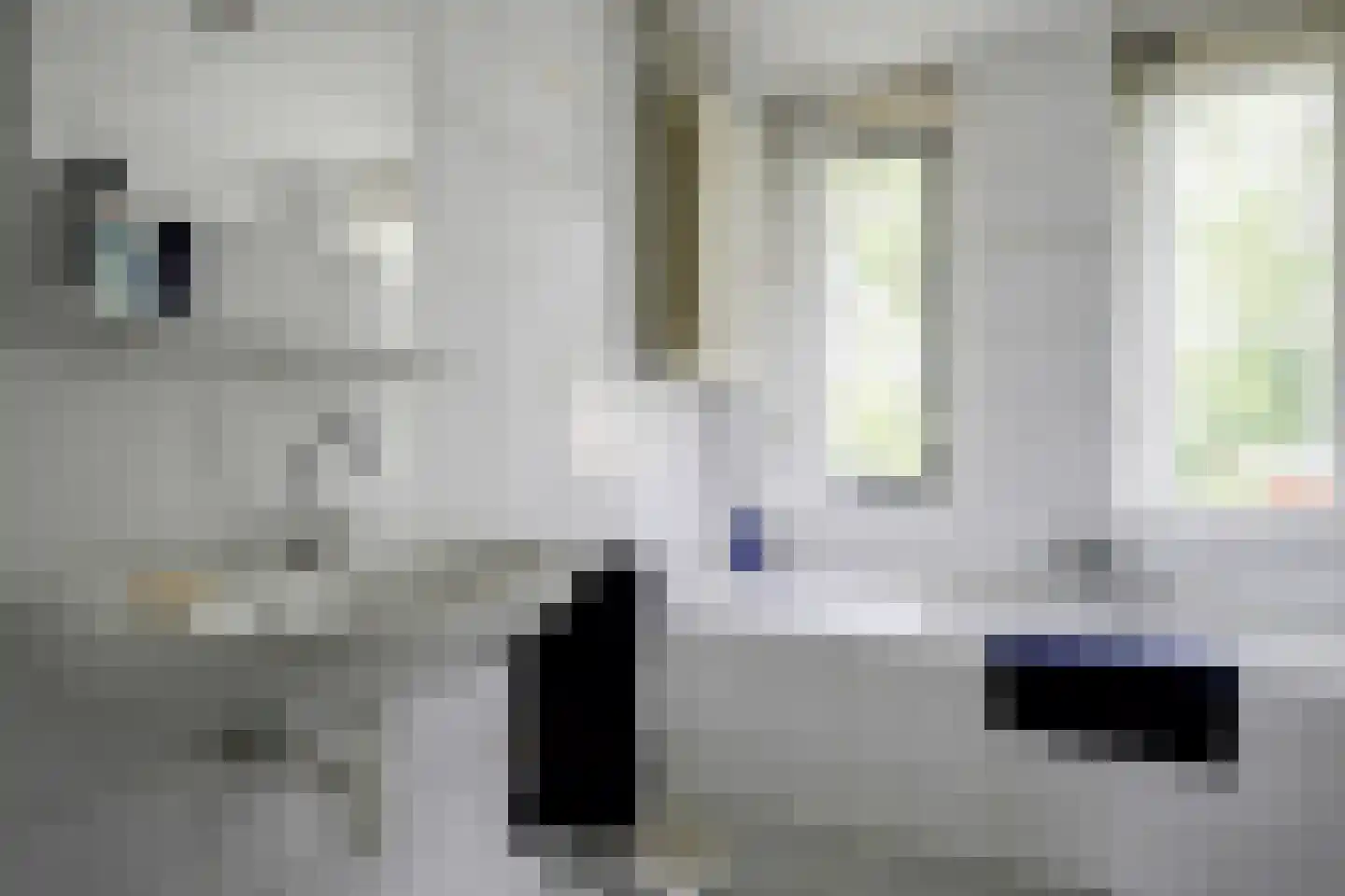 Grote Beer 6 Bleiswijk thumbnail 18