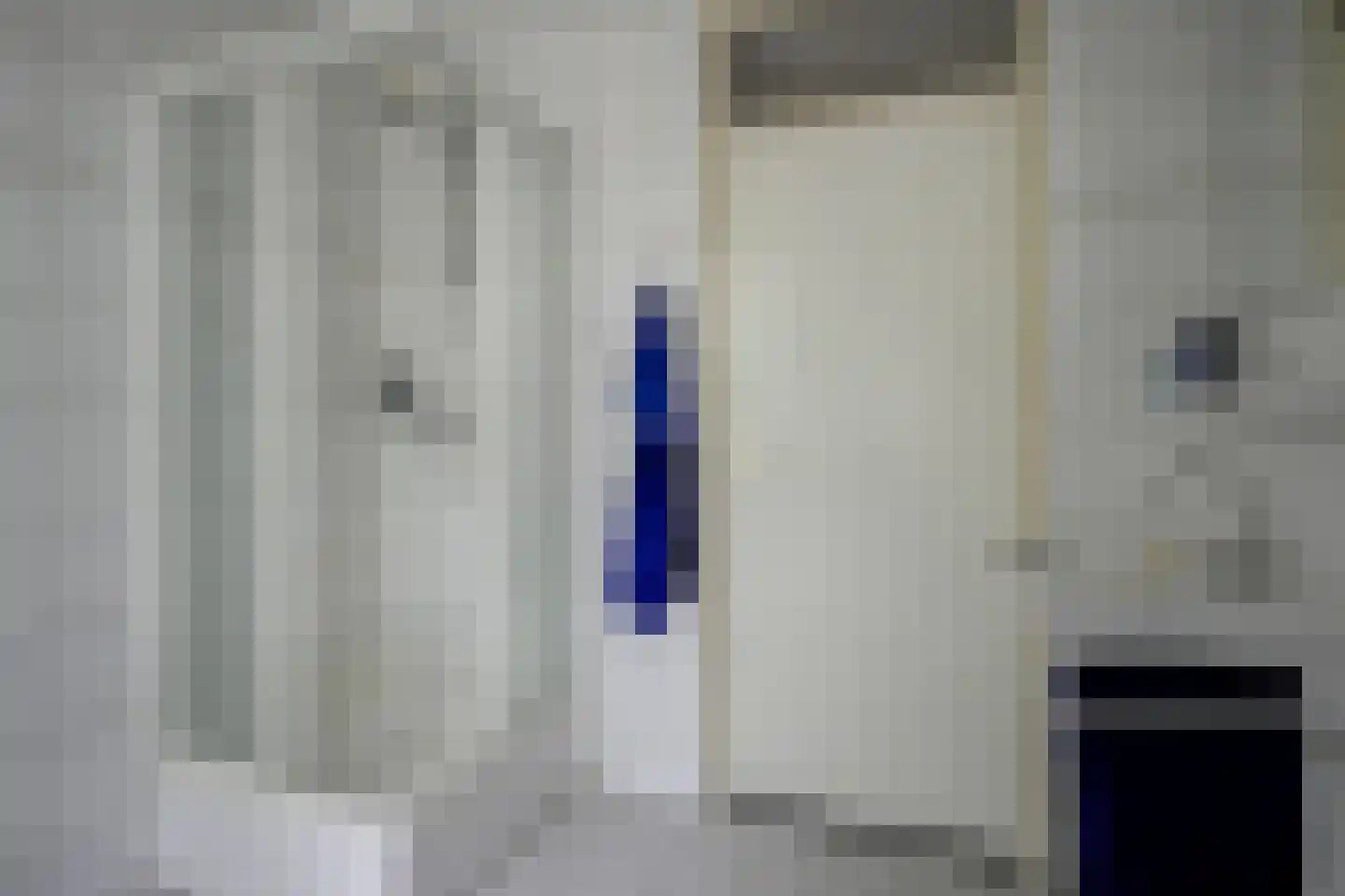 Grote Beer 6 Bleiswijk thumbnail 21