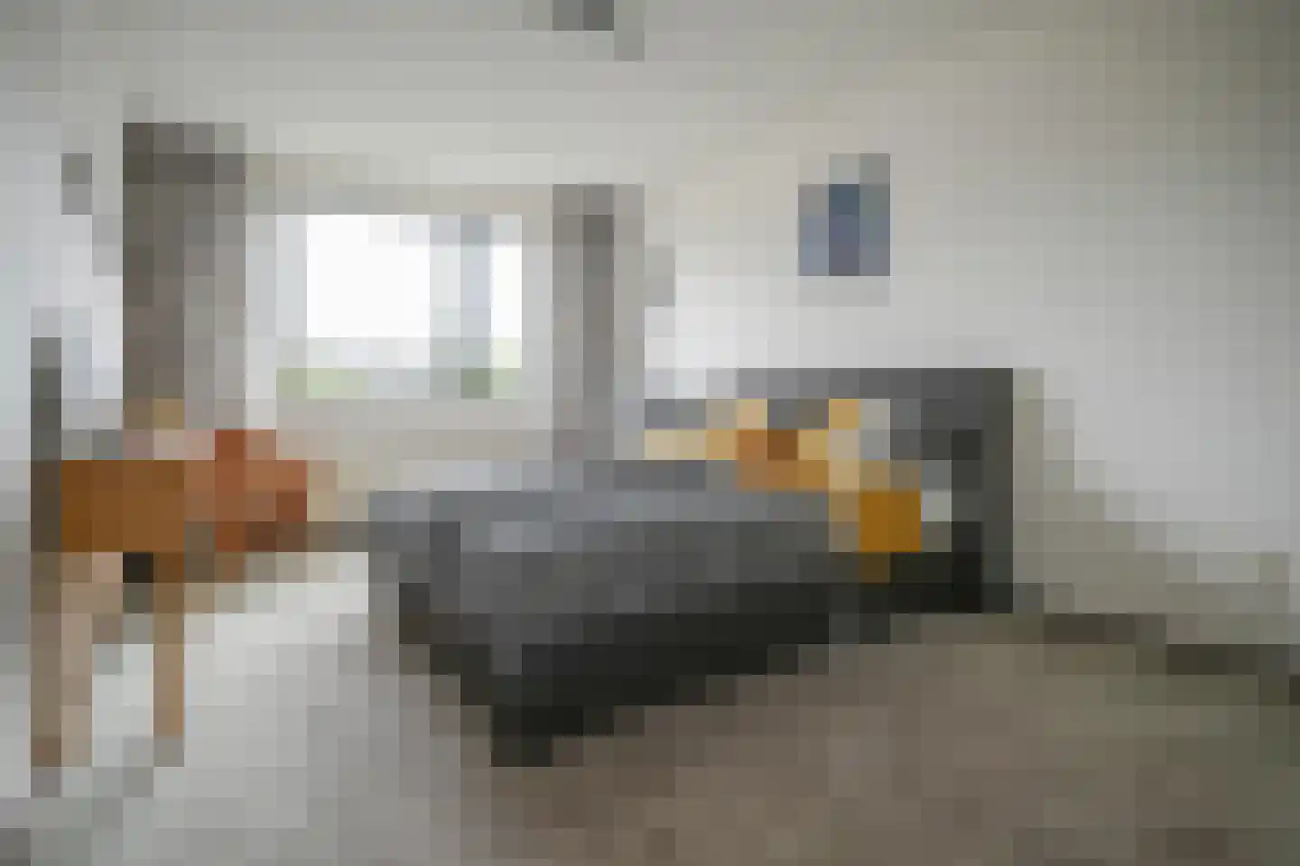 Grote Beer 6 Bleiswijk thumbnail 24