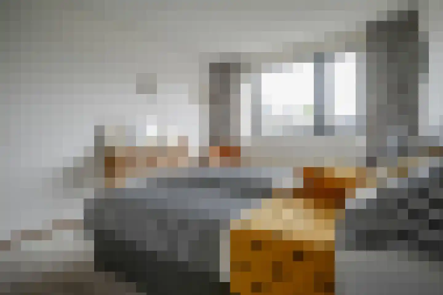 Grote Beer 6 Bleiswijk thumbnail 25