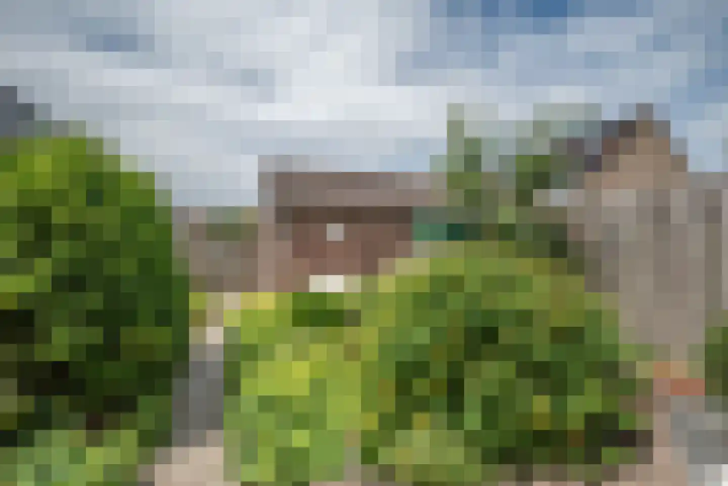 Grote Beer 6 Bleiswijk thumbnail 33