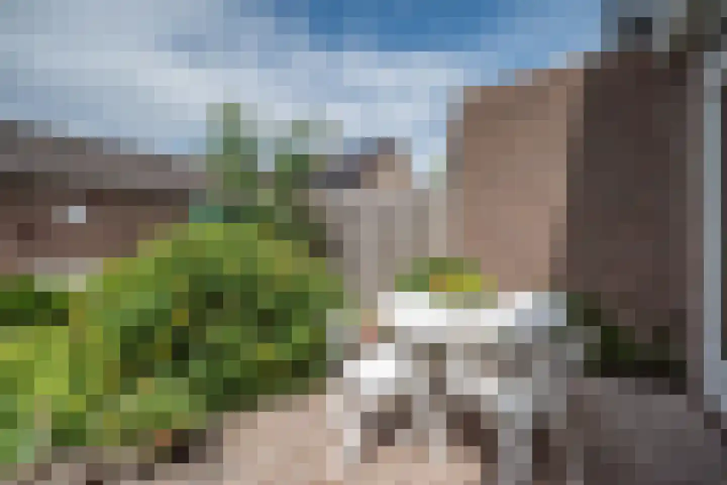 Grote Beer 6 Bleiswijk thumbnail 34