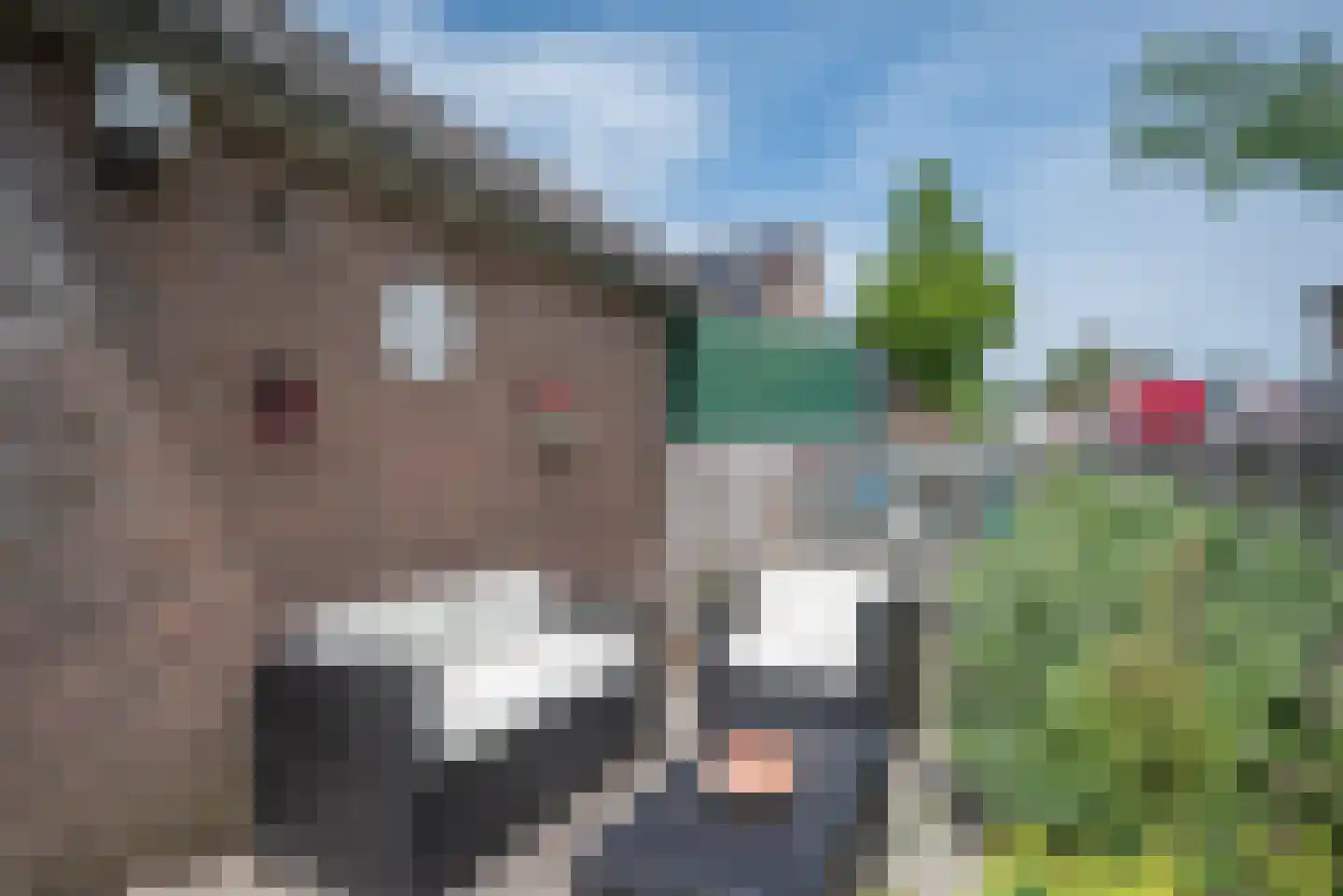 Grote Beer 6 Bleiswijk thumbnail 35