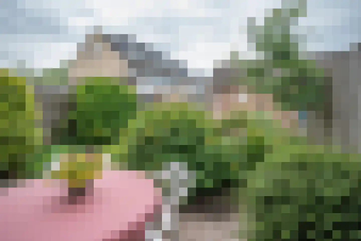 Grote Beer 6 Bleiswijk thumbnail 36