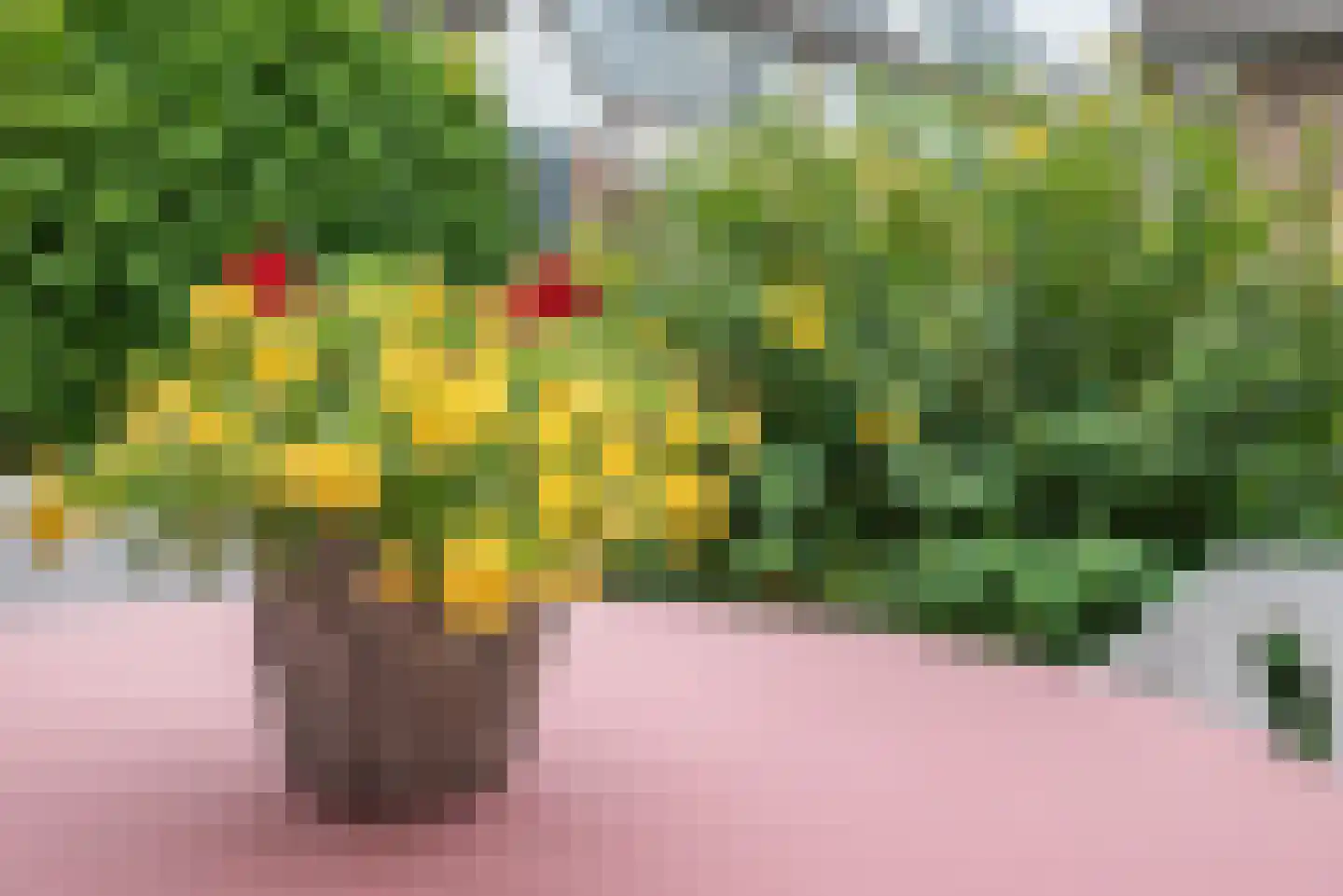 Grote Beer 6 Bleiswijk thumbnail 37